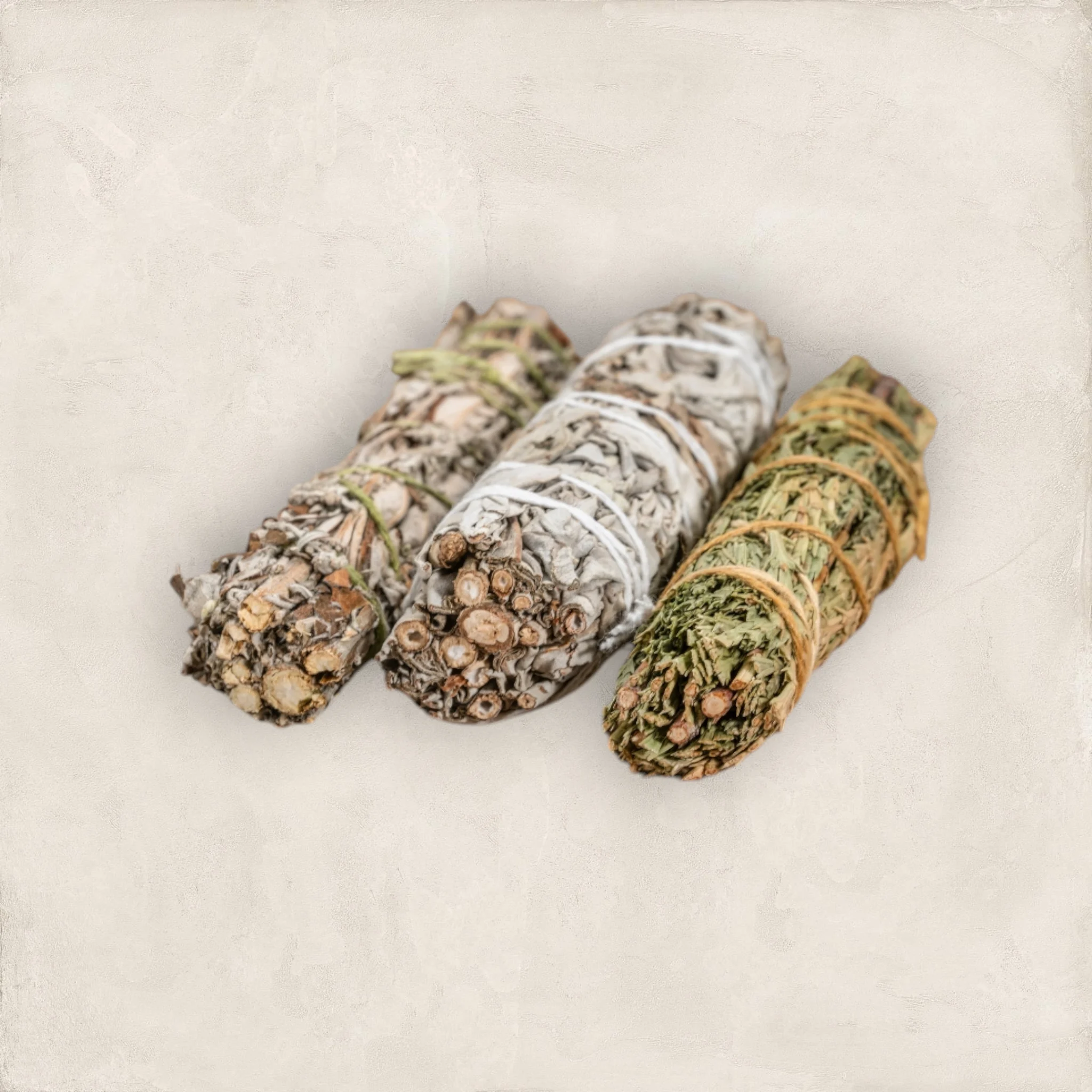 Atado Salvia Blanca Californiana - Image 2